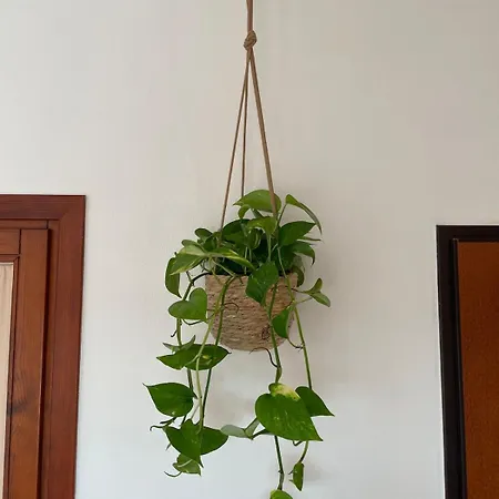 El Verano Appartement *